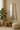 Bravo Mirror Range with sleek gold frame, modern decor, and green plant in stylish interior setting.