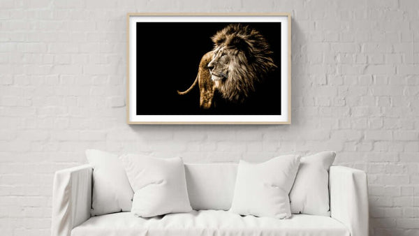 Framed Print Collection - Paramount Mirrors and Prints