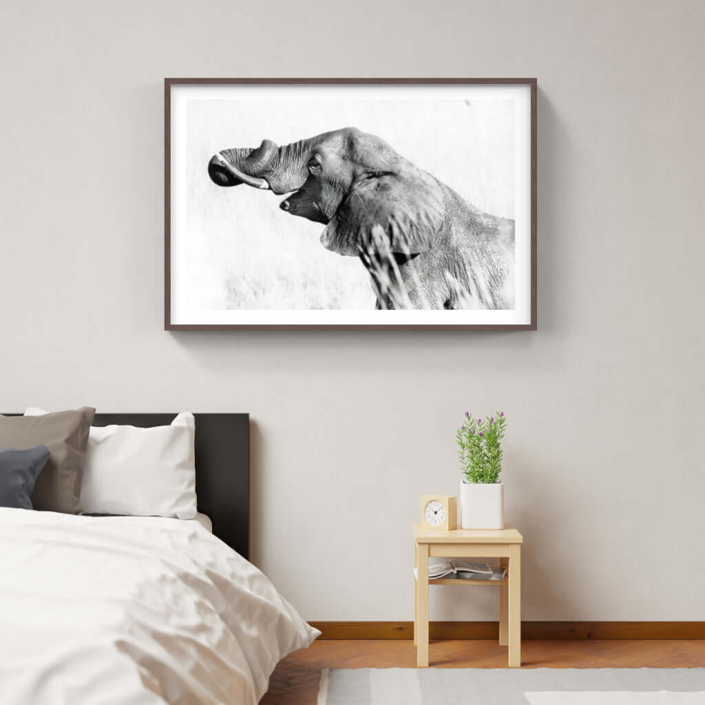 Framed black and white elephant print in modern bedroom, showcasing African wildlife art.