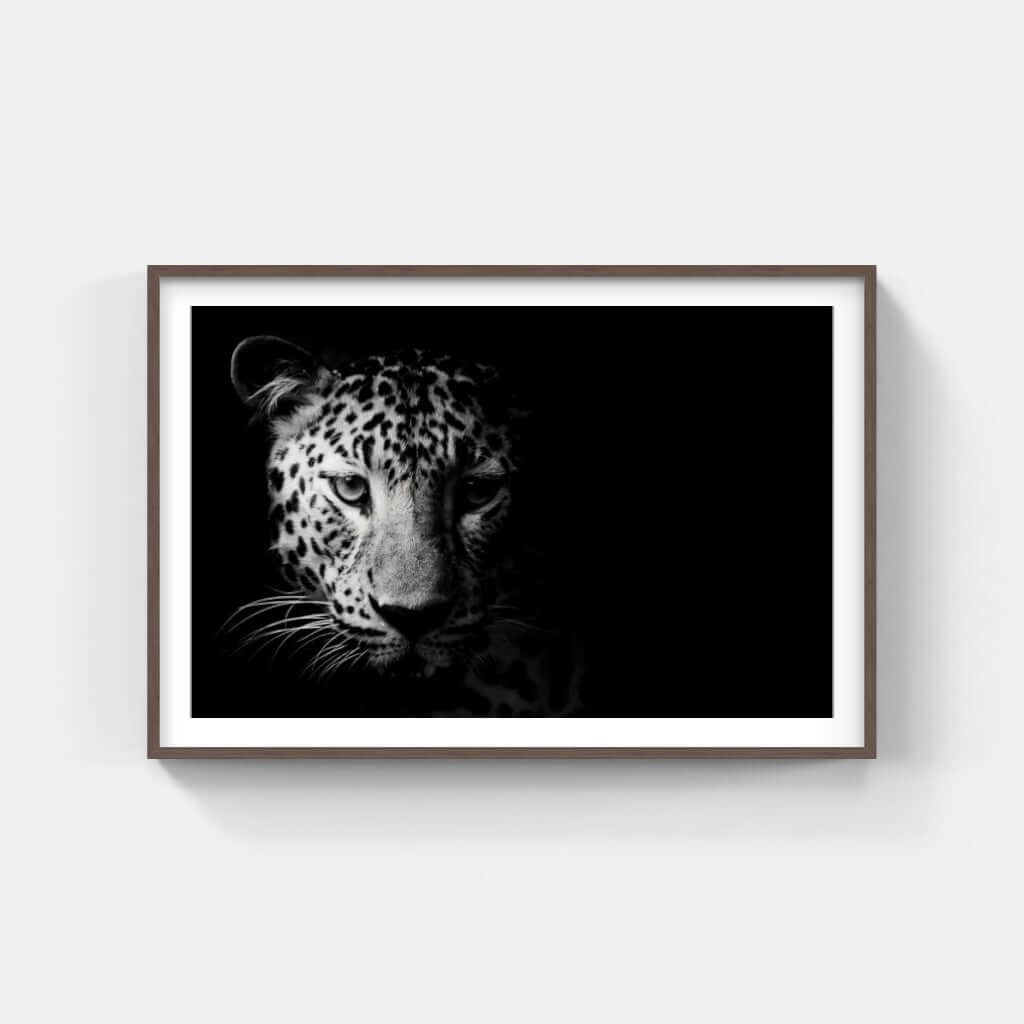 Framed black and white leopard artwork, showcasing the intricate beauty of African wildlife for elegant home decor.