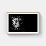 Framed leopard face print showcasing the elegance of wildlife art in black and white decor.