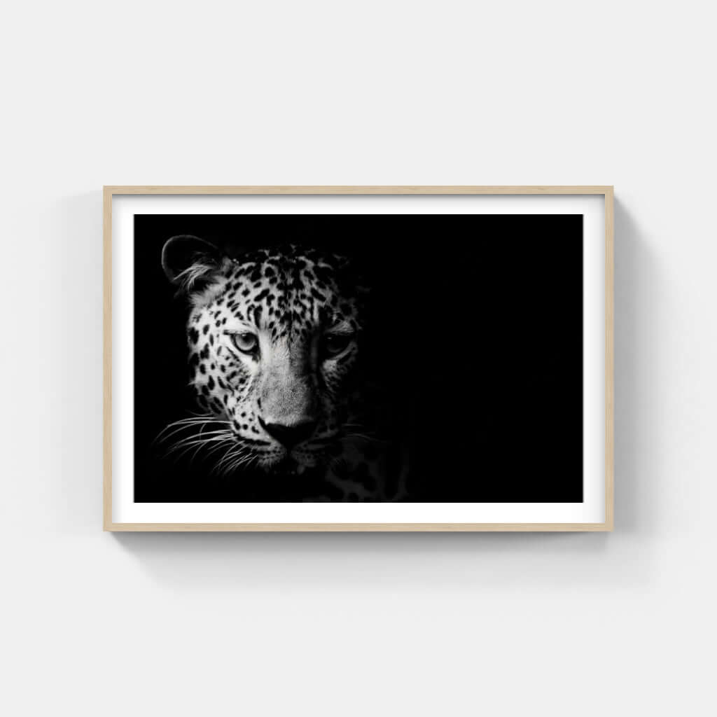 Framed leopard face print showcasing the elegance of wildlife art in black and white decor.