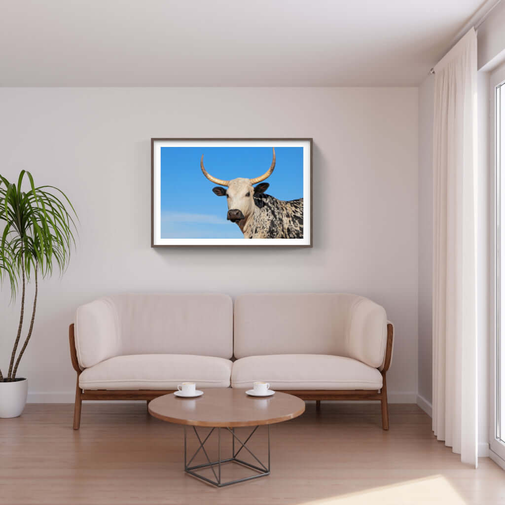 Framed Nguni print featuring a majestic cow, enhancing modern interior decor with African artistry.