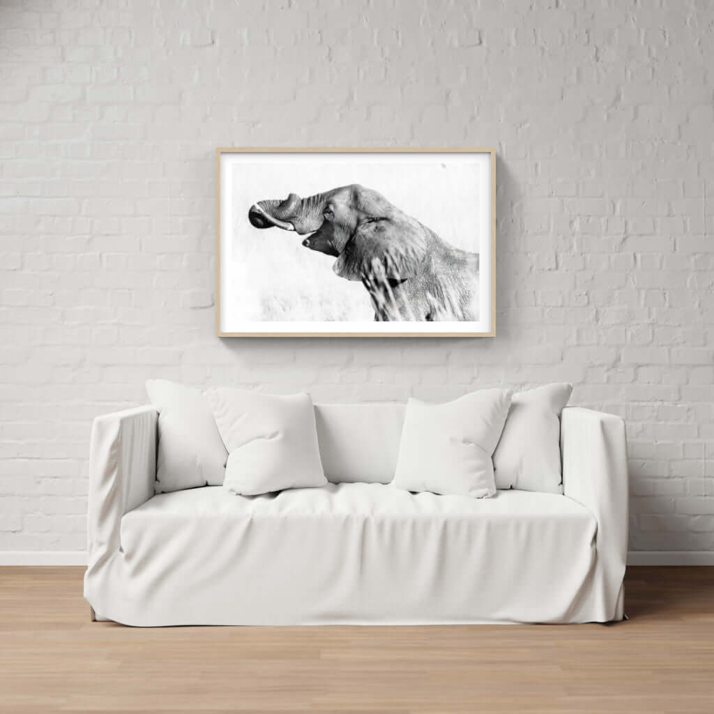 Framed elephant print in living room setting with white sofa and modern decor
