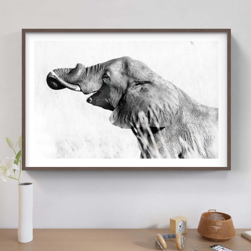 Framed black and white elephant print, showcasing African wildlife art in a modern interior setting.