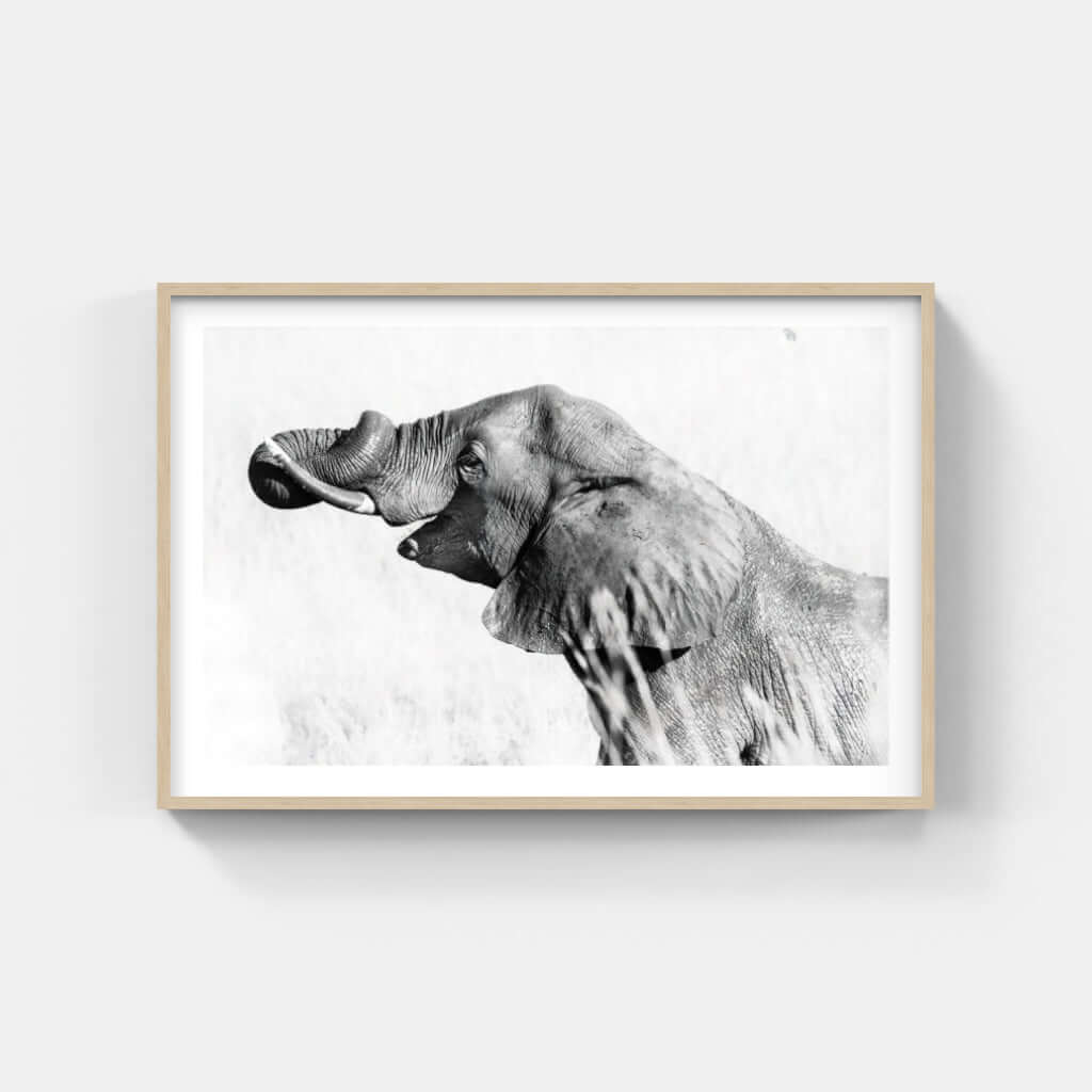 Framed black and white elephant print, showcasing majestic wildlife artwork for home decor.