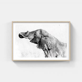 Framed Elephant Print 2