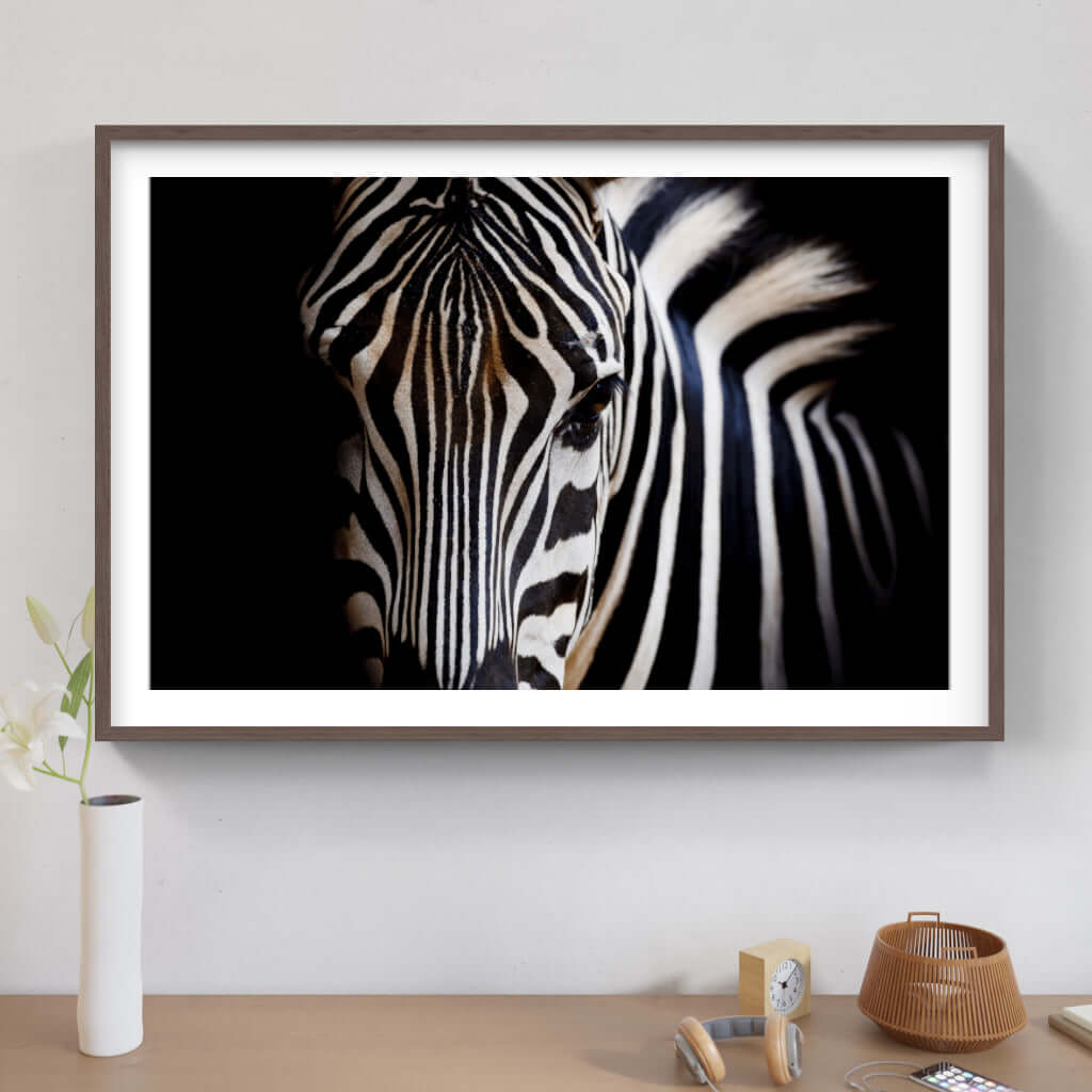 Framed wildlife print of a zebra, showcasing stunning black and white stripes, perfect for modern decor.