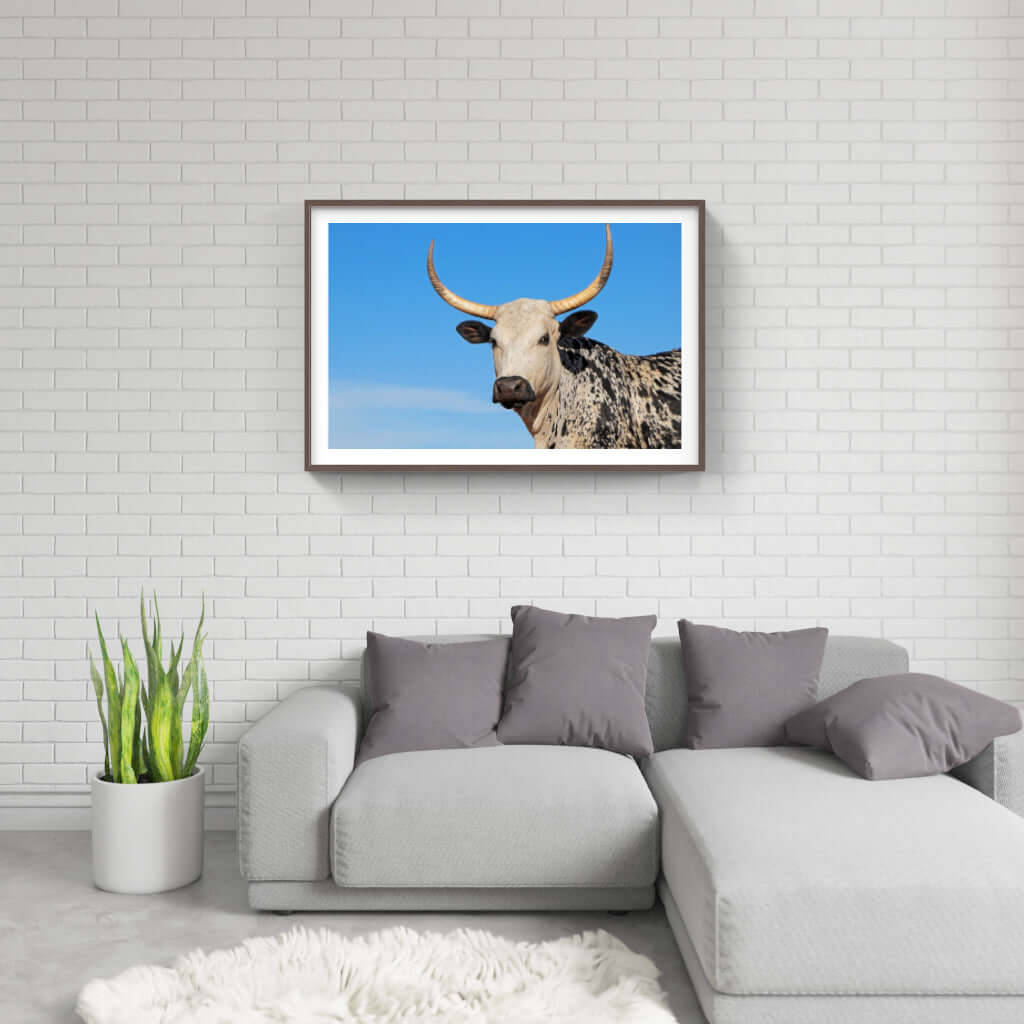 Framed Nguni print featuring a striking cow against a blue sky, perfect for enhancing modern or traditional interiors.