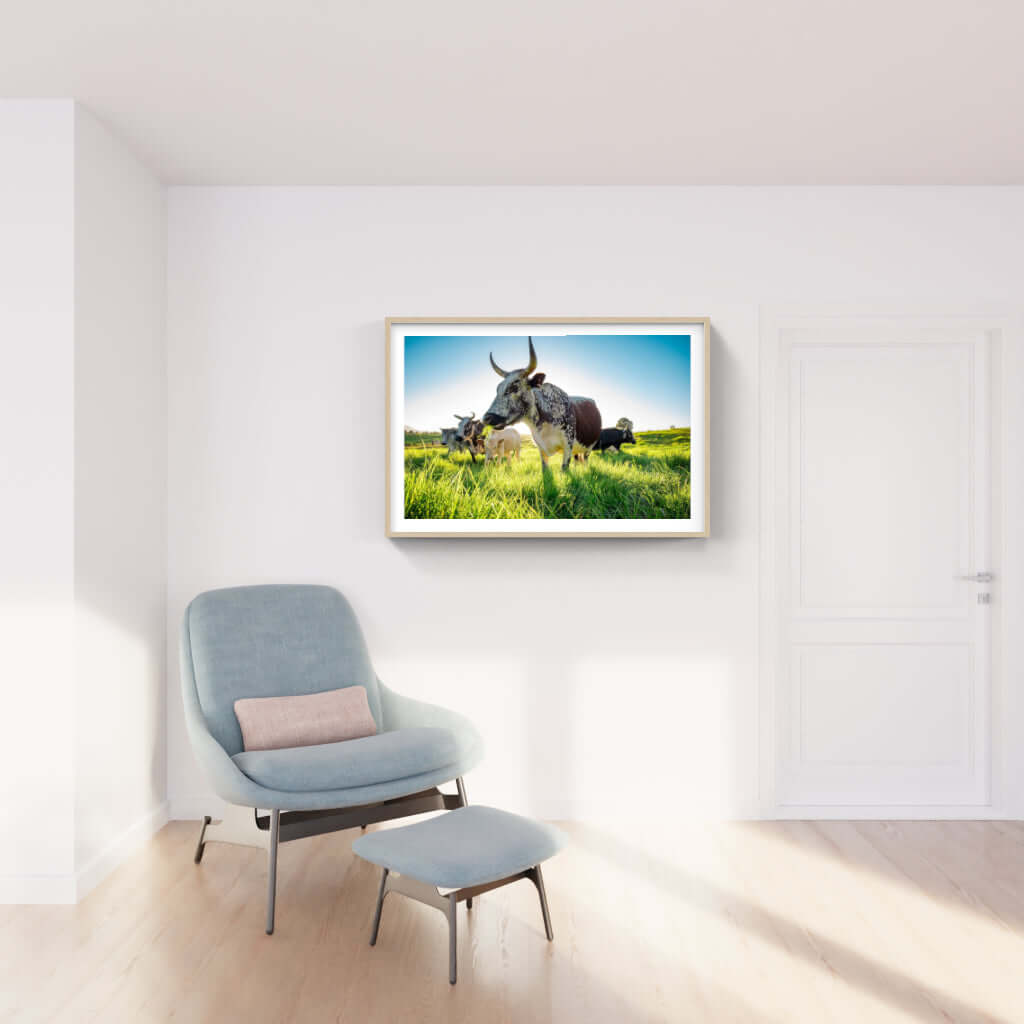Framed Nguni print showcasing African wildlife in a modern interior setting, ideal for enhancing decor.