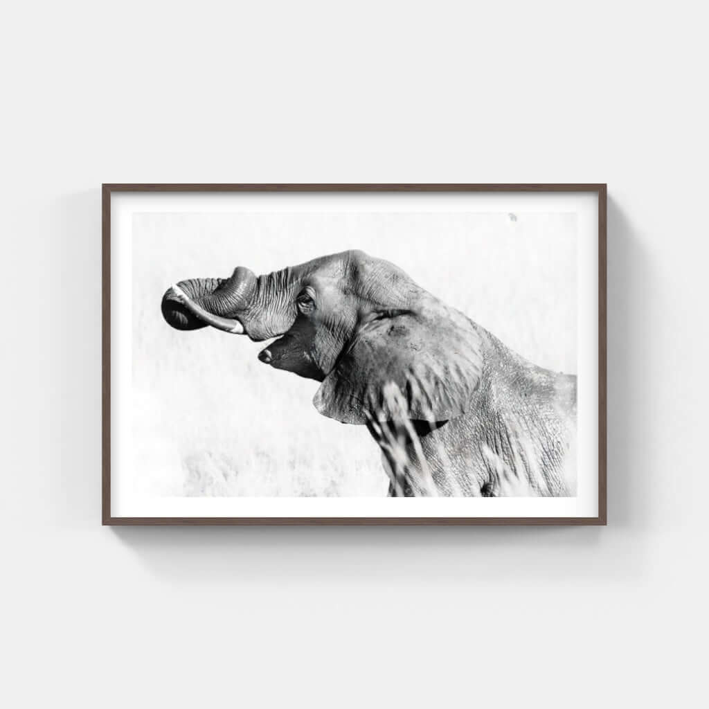 Framed black and white elephant print showcasing detailed wildlife artistry for modern decor.