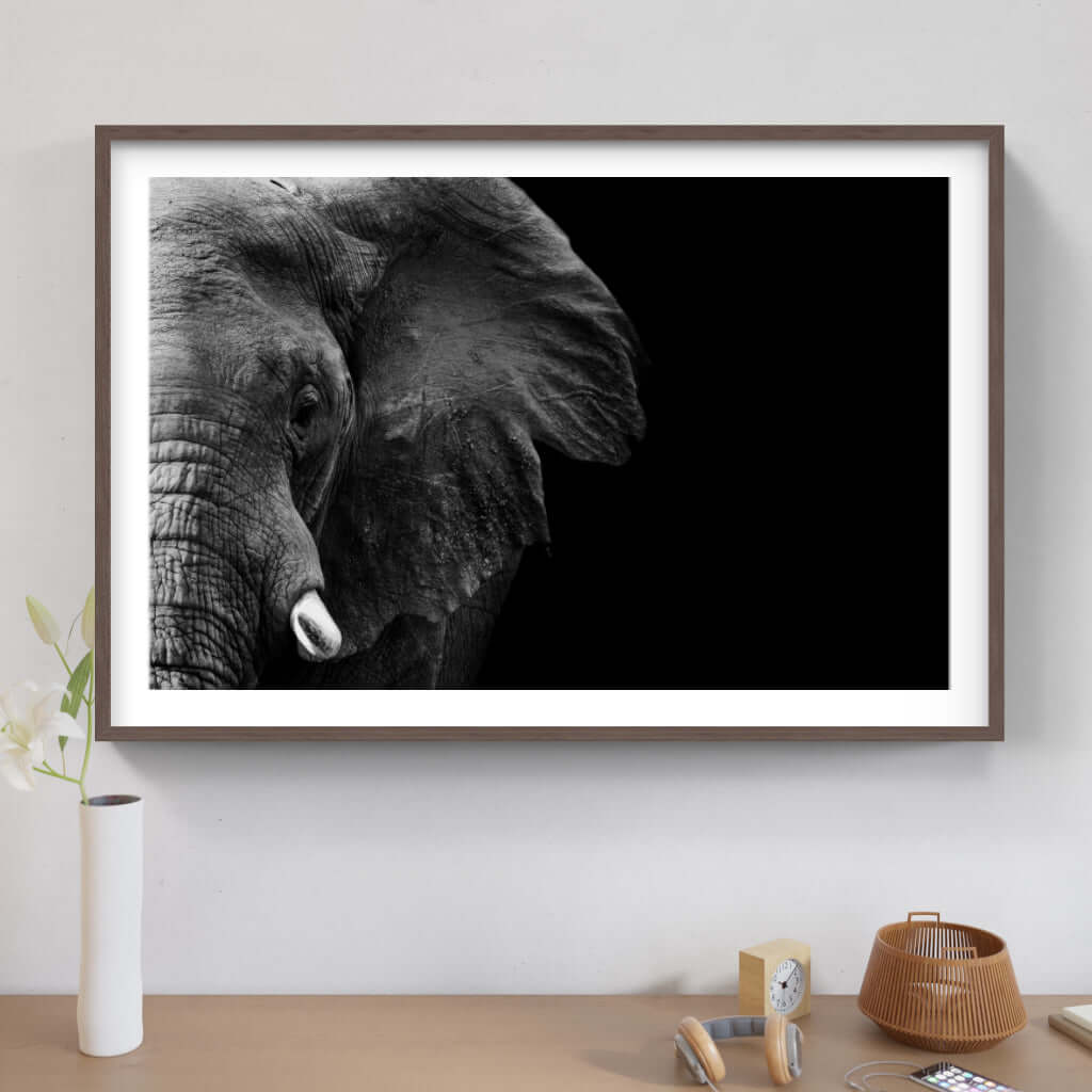 Framed black and white artwork of an elephant's face, showcasing elegant wildlife photography for modern decor.