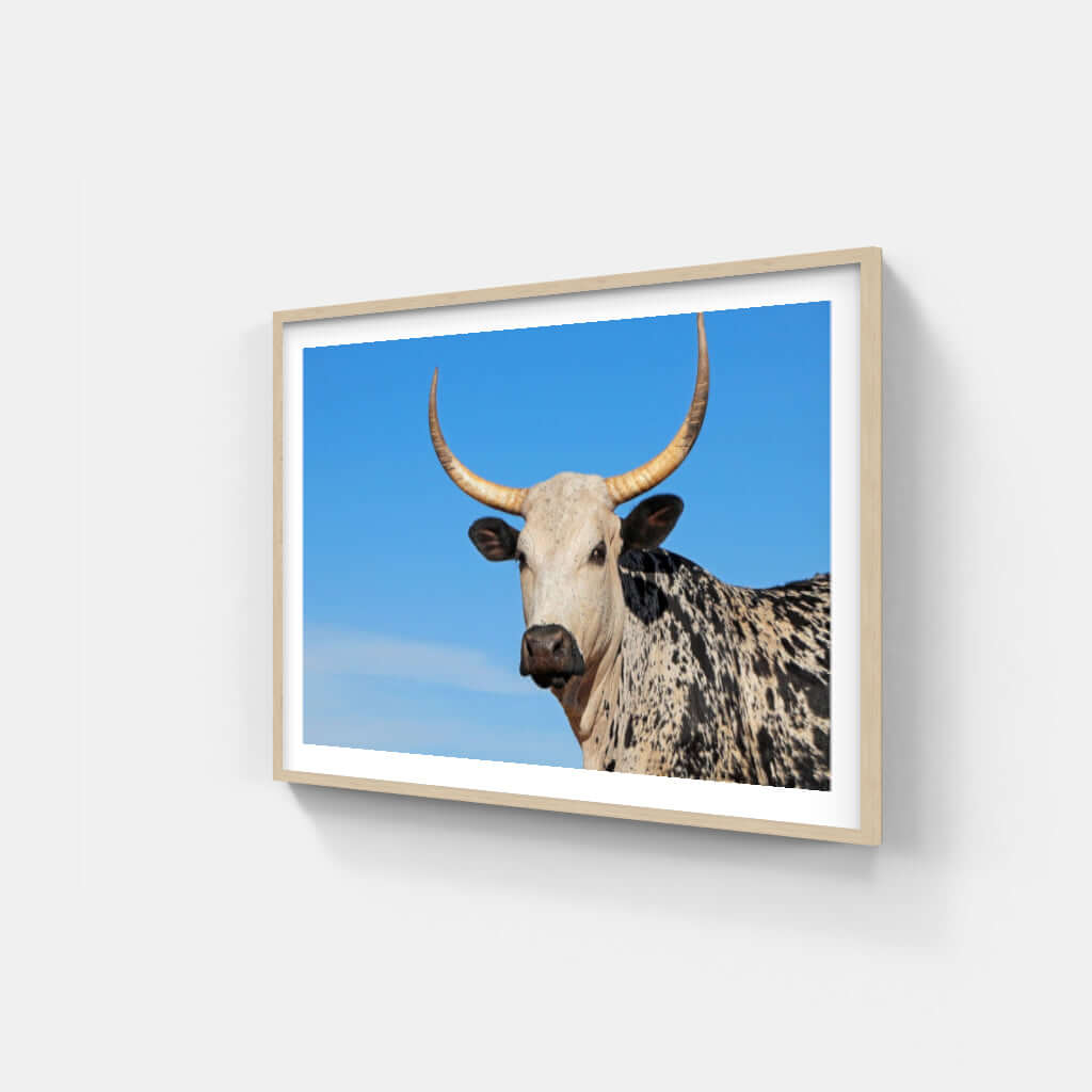 Framed Nguni print featuring a majestic Nguni cow against a blue sky, perfect for adding African wildlife decor.