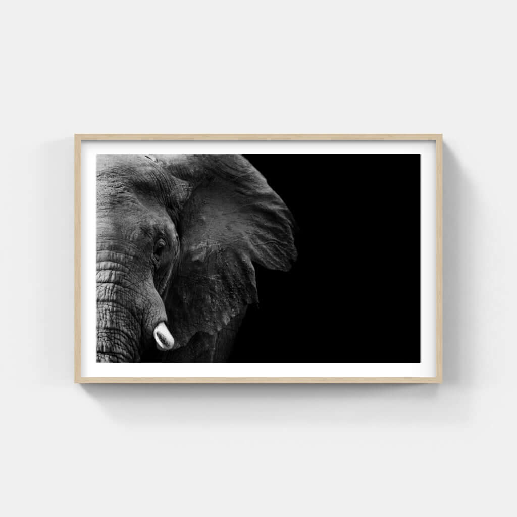 Black and white framed elephant face print showcasing African wildlife artistry.