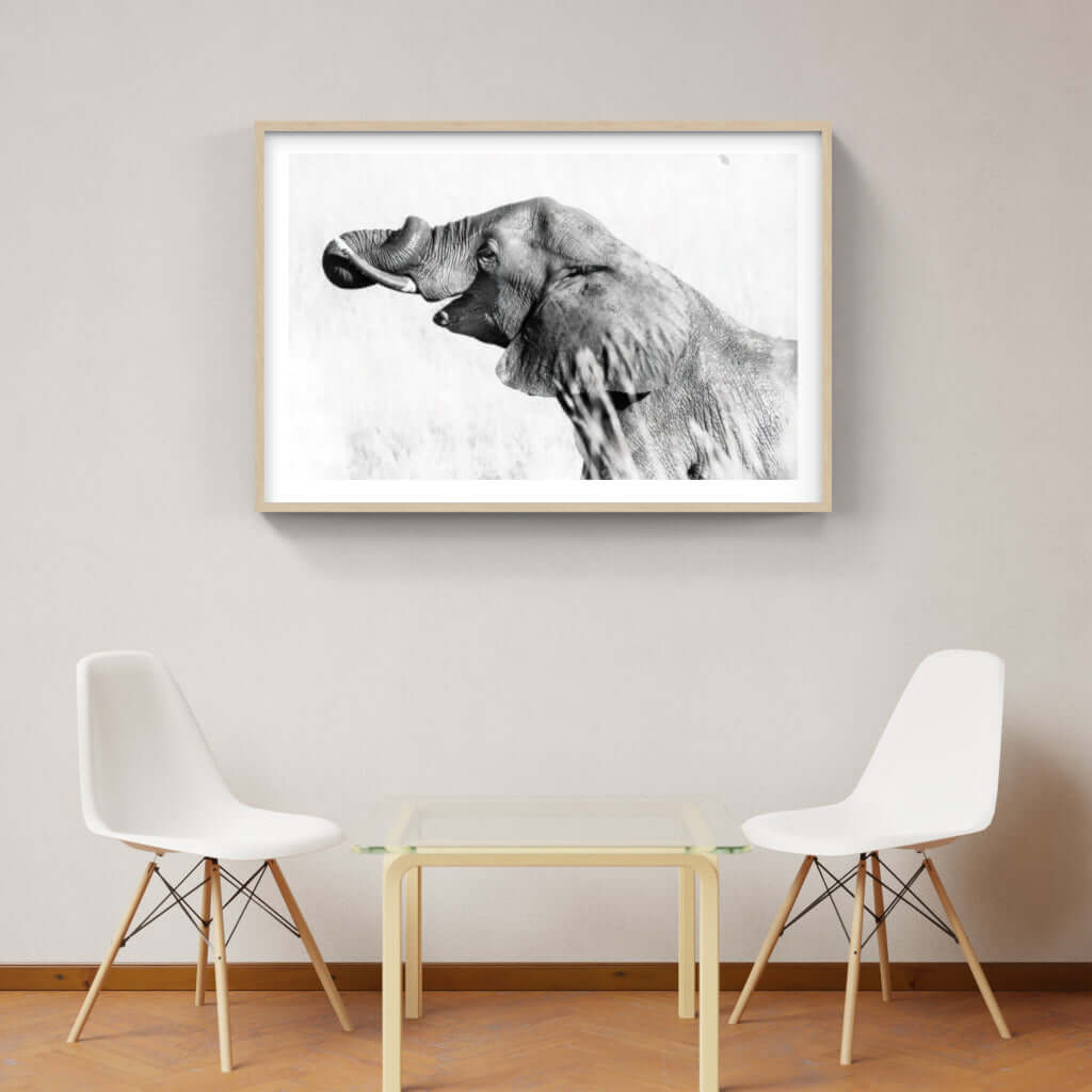 Framed black and white elephant print in modern interior design, showcasing African wildlife artwork.