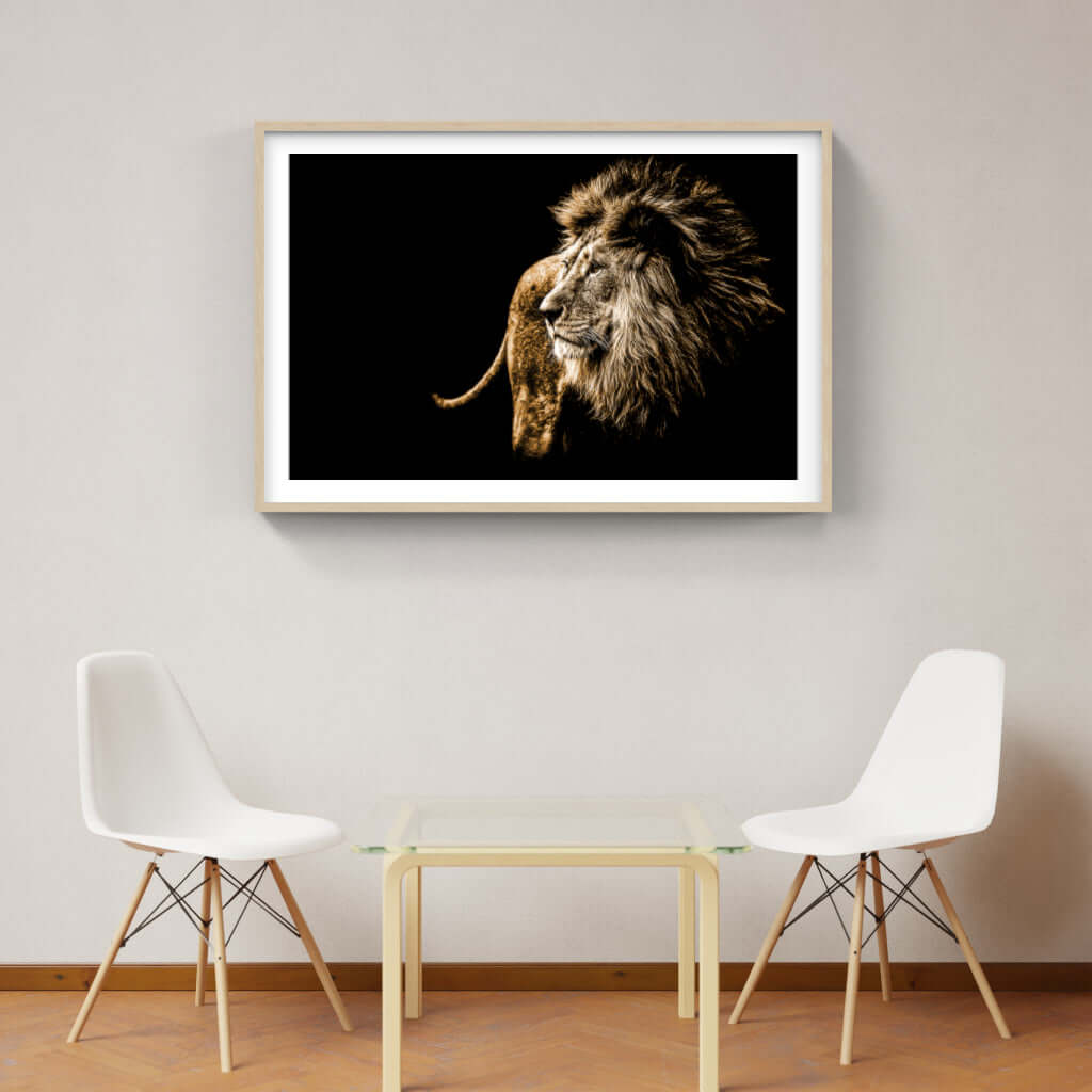 Framed wildlife print of a majestic lion showcasing African artistry in a modern living space.