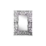 Ornate silver-framed Envy Mirror showcasing classic elegance for home decor.