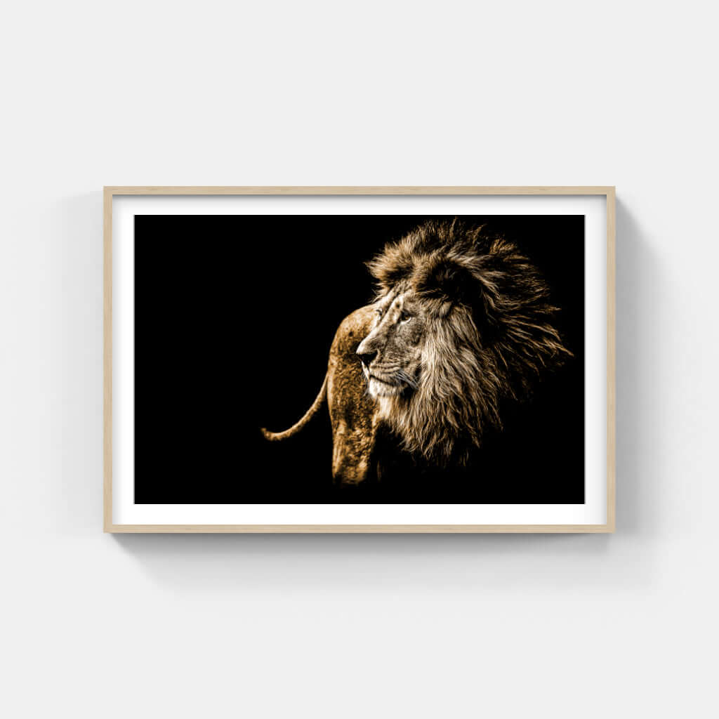 Framed wildlife print of a majestic lion against a black backdrop, showcasing African cultural artistry.