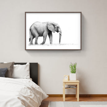 Framed Elephant Print 1