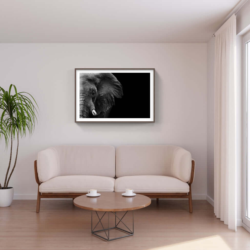 Framed black and white elephant face print on a living room wall, enhancing modern interior decor.