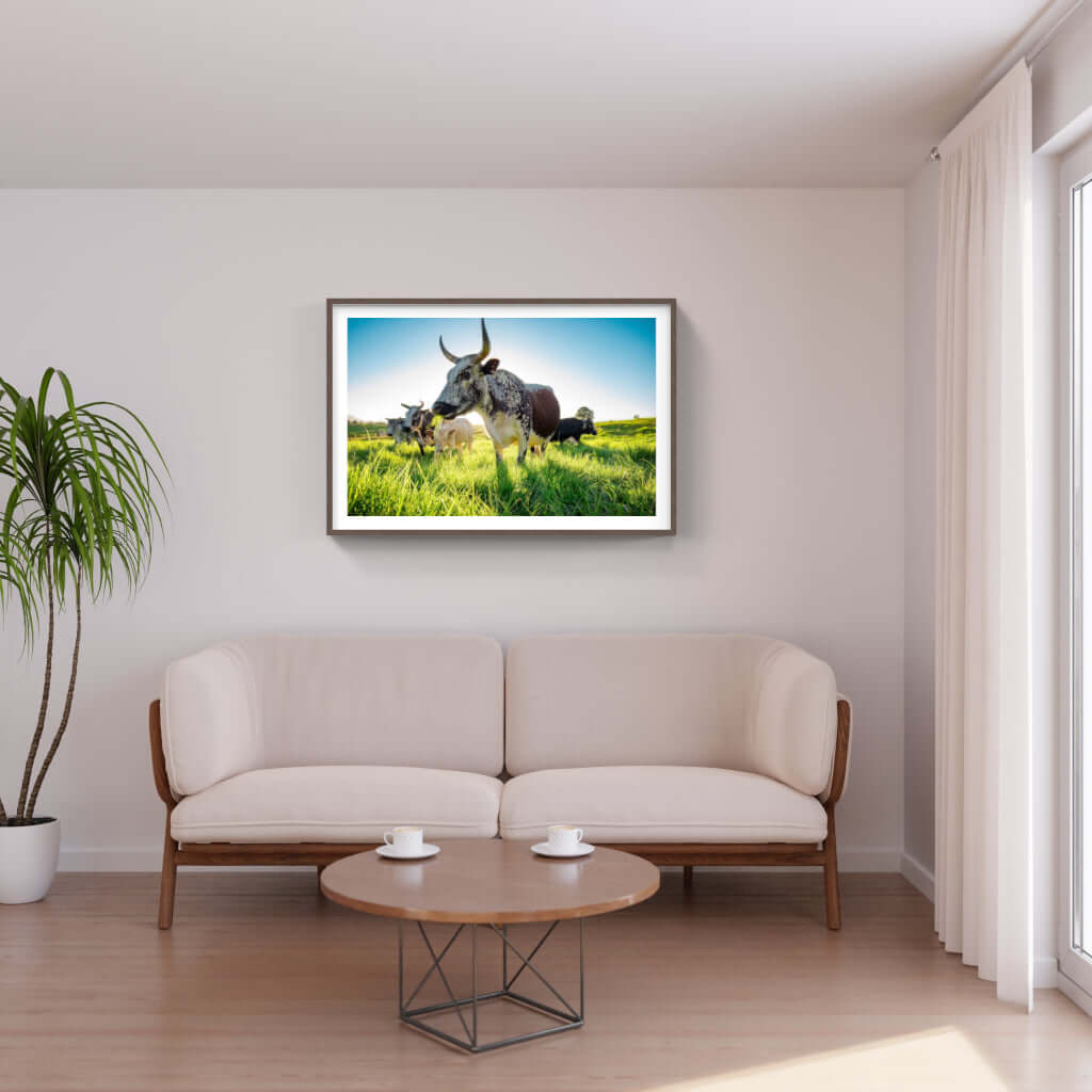 Framed Nguni print showcasing African wildlife in a modern living room setting.