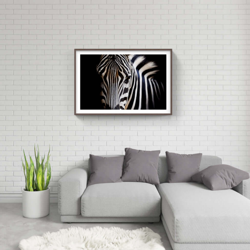 Framed wildlife print of a zebra on a wall in a modern living room with gray couch and indoor plant.