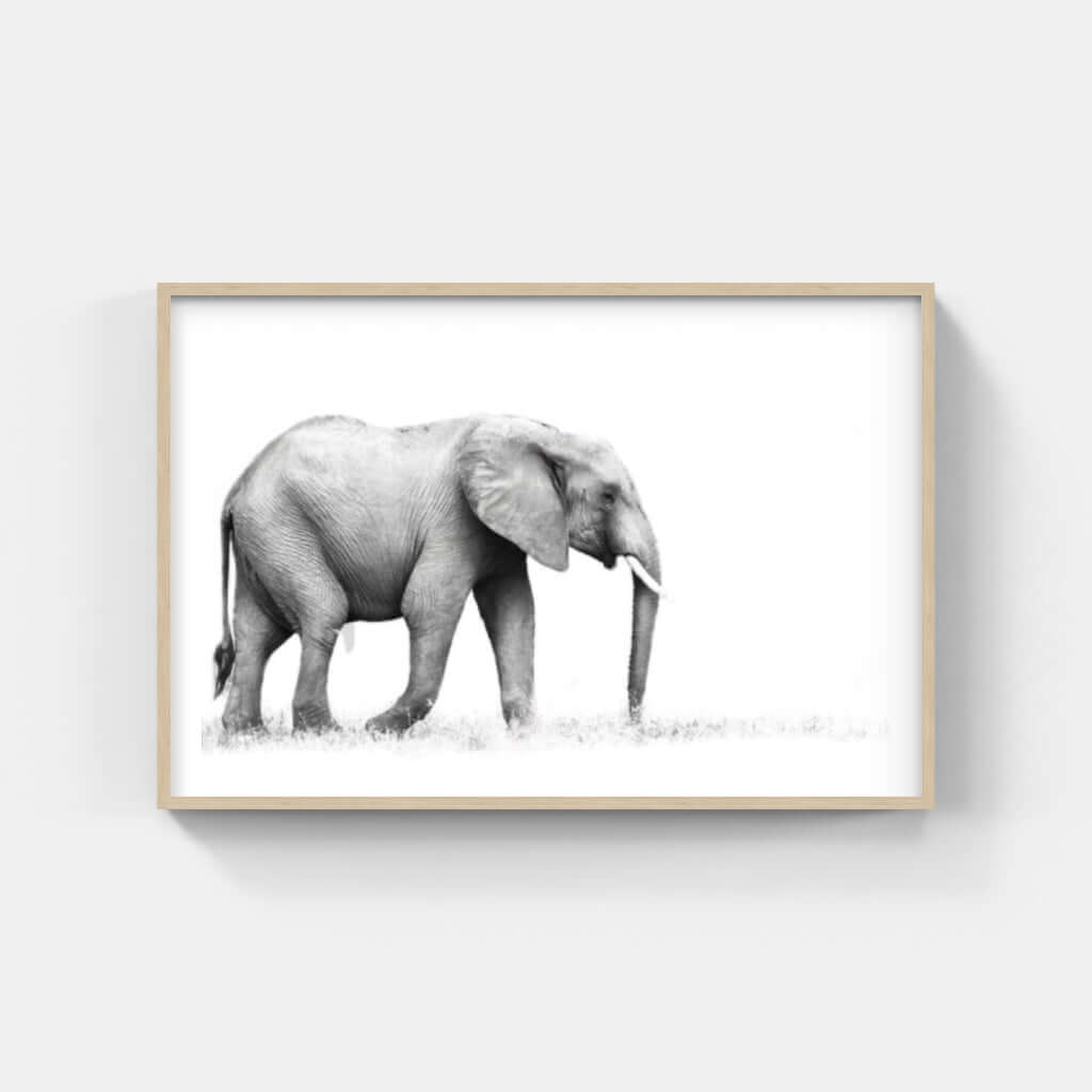Framed elephant print showcasing elegant black and white wildlife art for modern decor.