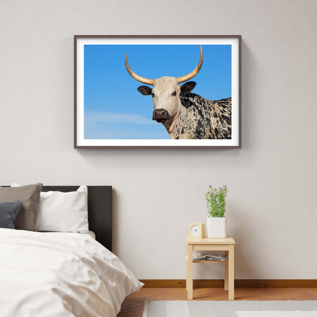 Framed Nguni print depicting a majestic African cow in a stylish bedroom setting.
