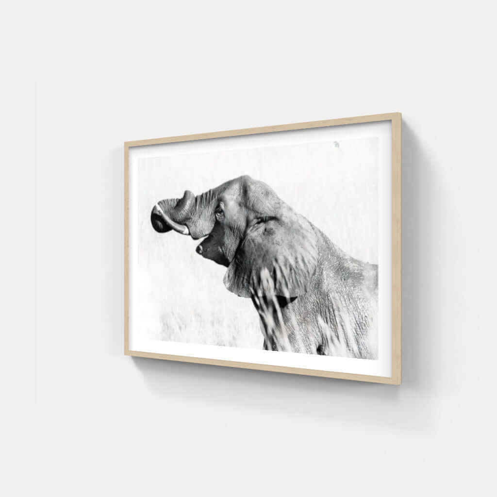 Framed black and white elephant print, showcasing the majestic beauty of wildlife and African culture.