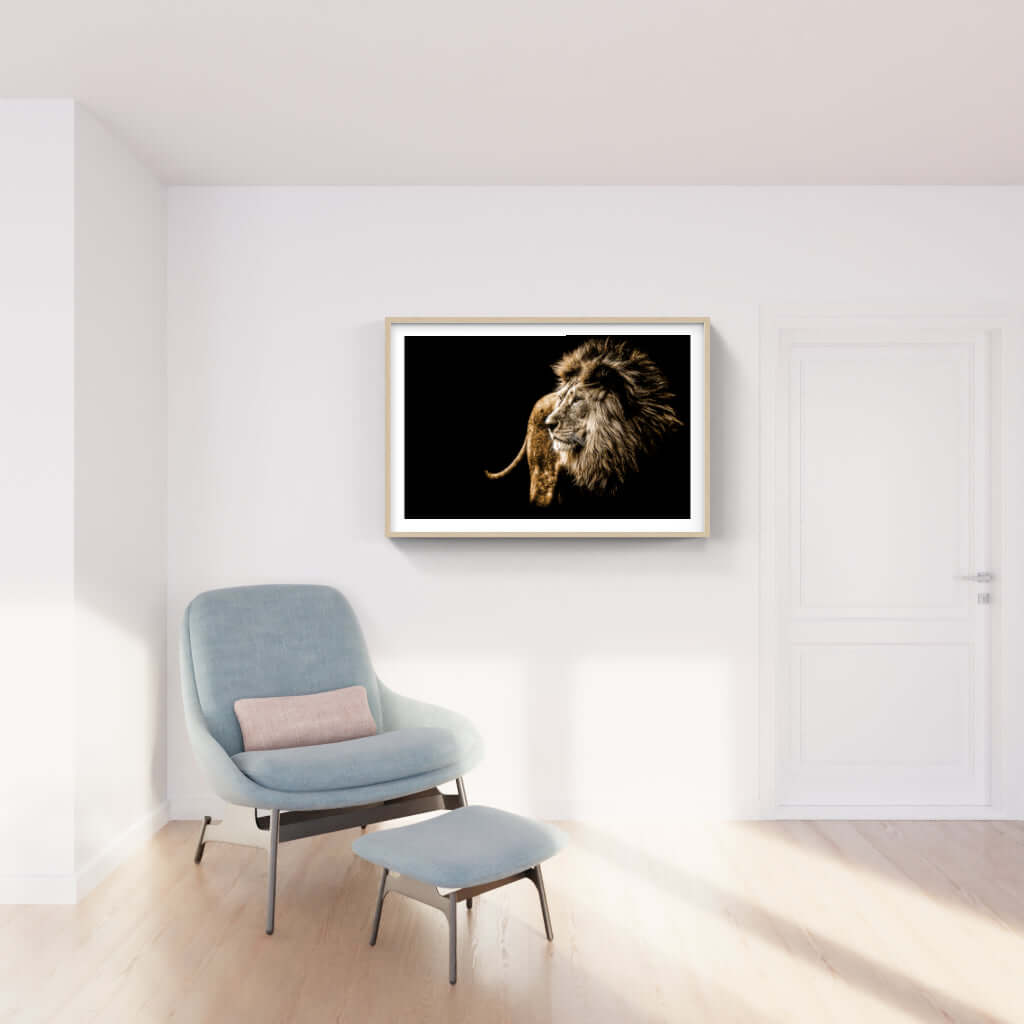 Framed wildlife print of a lion in a modern living room, showcasing African art and sophistication.