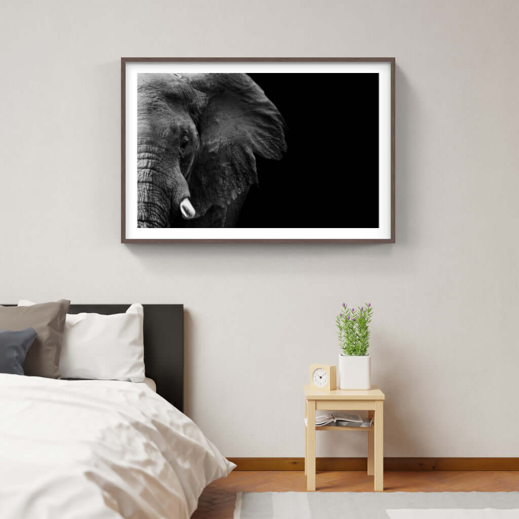 Elephant Face Print 1 - Paramount Mirrors and PrintsPMM-ART-ELEnoneFramed Print