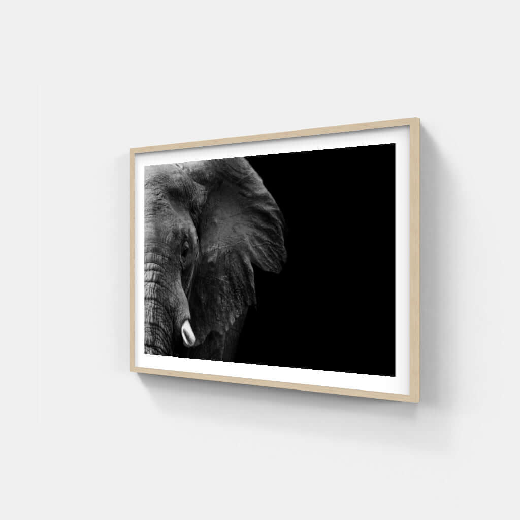 Elephant Face Print 1 - Paramount Mirrors and PrintsPMM-ART-ELEnoneFramed Print