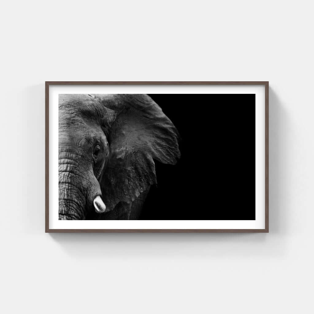 Elephant Face Print 1 - Paramount Mirrors and PrintsPMM-ART-ELEnoneFramed Print