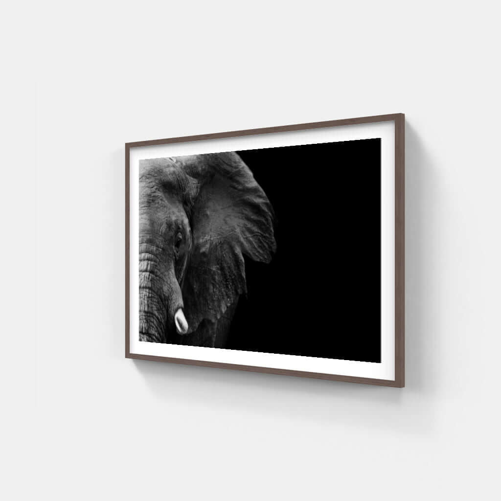 Elephant Face Print 1 - Paramount Mirrors and PrintsPMM-ART-ELEnoneFramed Print