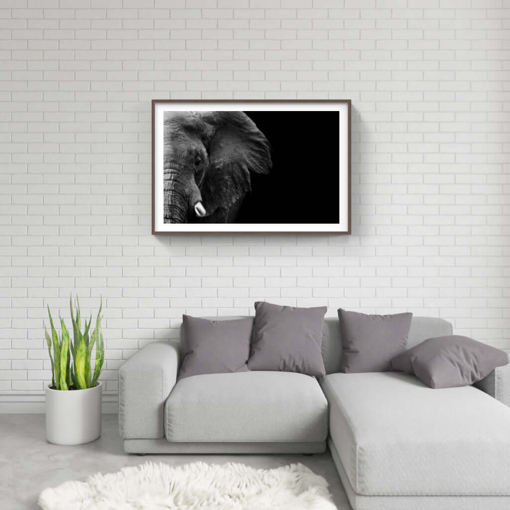 Elephant Face Print 1 - Paramount Mirrors and PrintsPMM-ART-ELEnoneFramed Print