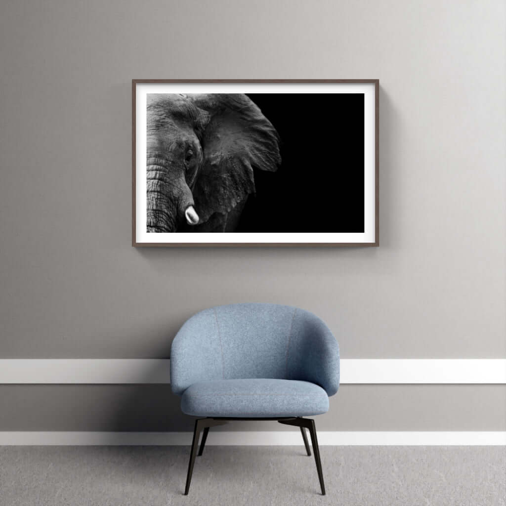 Elephant Face Print 1 - Paramount Mirrors and PrintsPMM-ART-ELEnoneFramed Print
