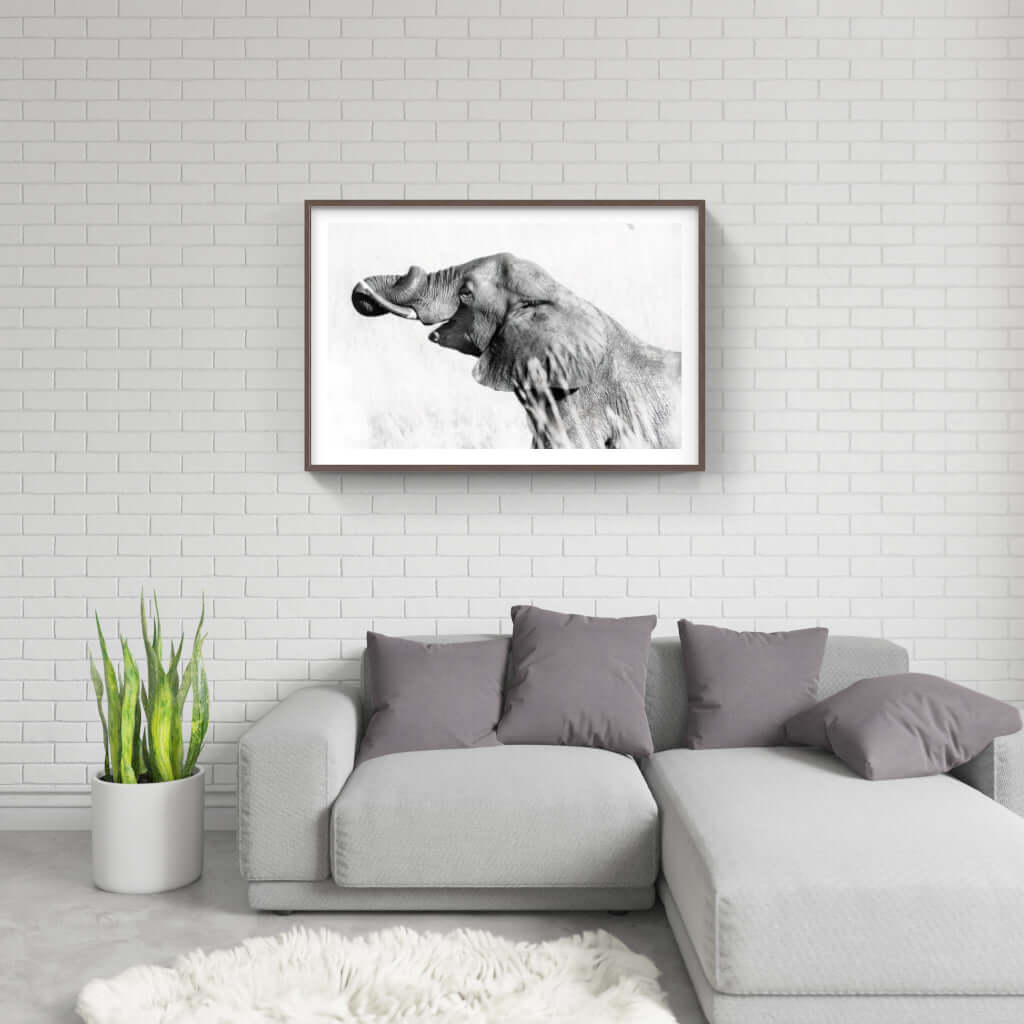 Framed black and white elephant print on a modern living room wall, showcasing African wildlife art.