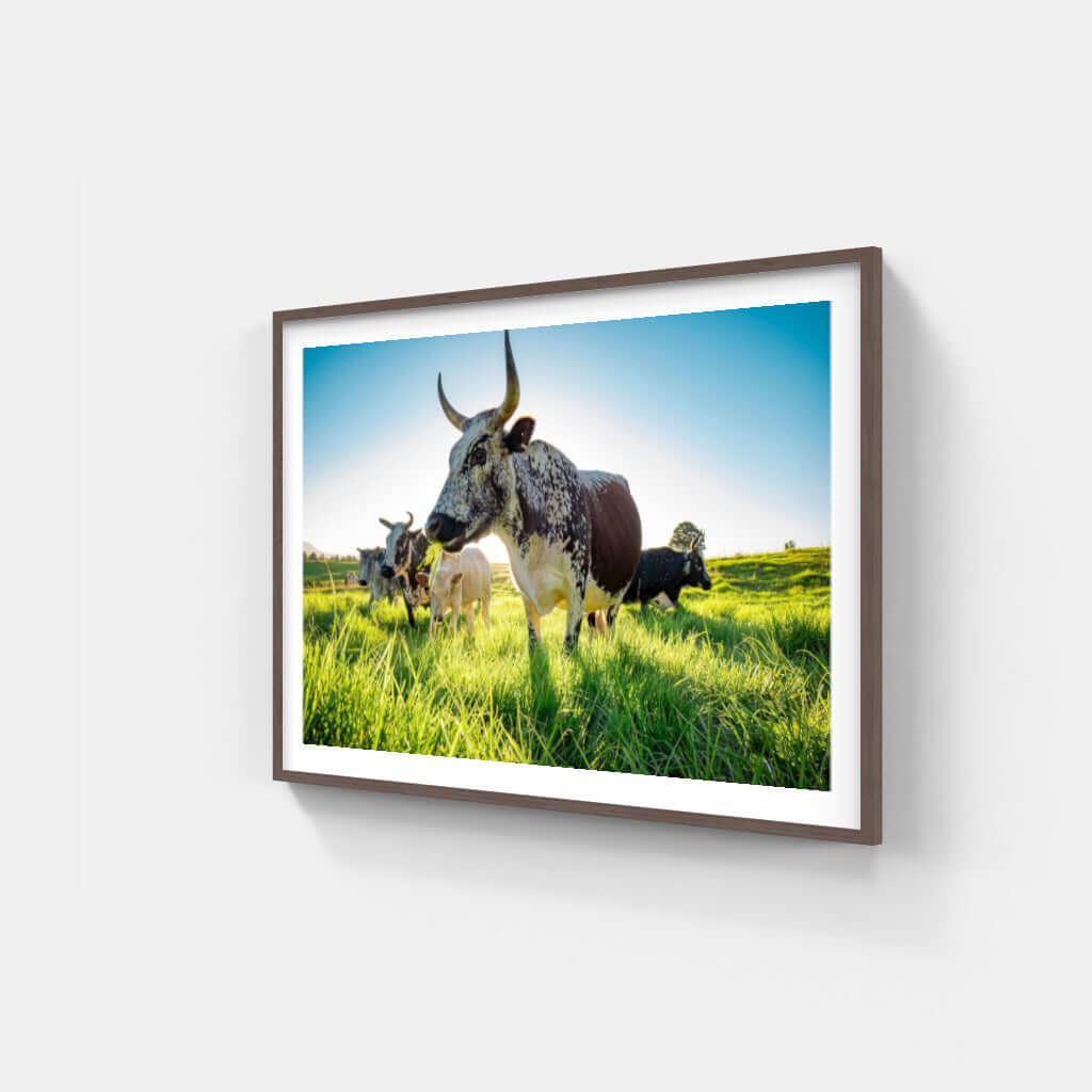 Framed Nguni print showing cattle in a green field, showcasing African wildlife art for home decor.