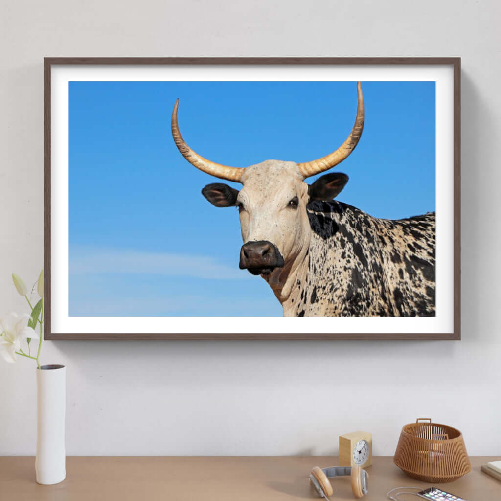 Framed Nguni print showcasing a majestic Nguni cattle against a clear blue sky, ideal for modern interiors.