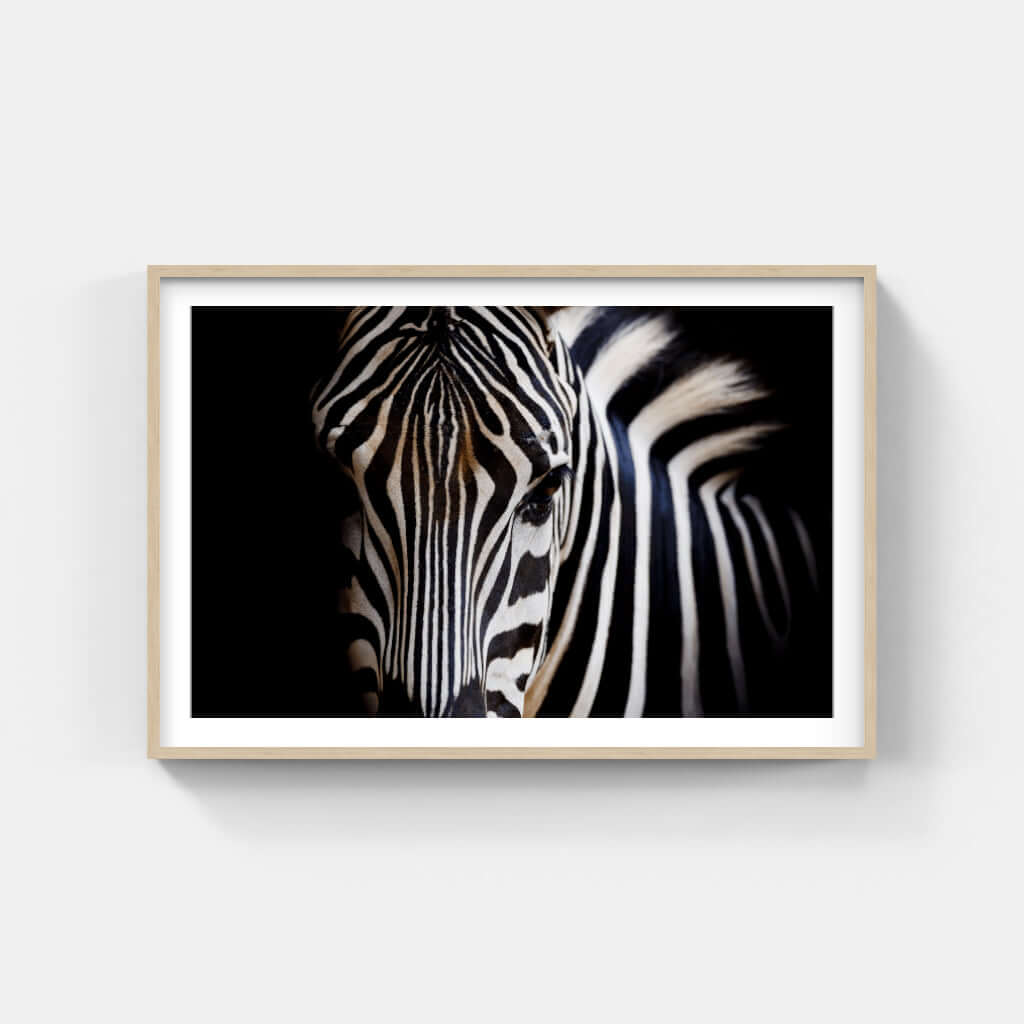 Framed wildlife print featuring a striking zebra portrait, showcasing bold black and white stripes in a modern design.