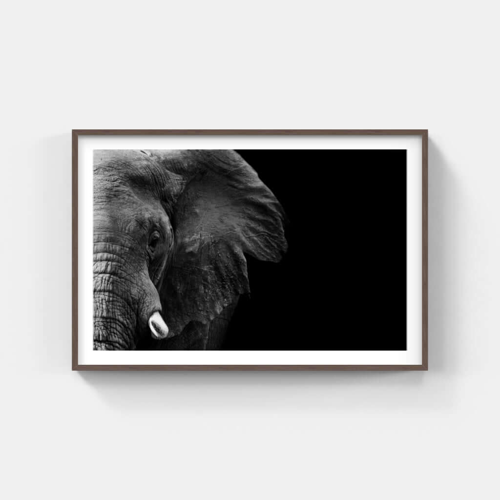 Framed black and white elephant face print, showcasing African wildlife artistry for home decor.