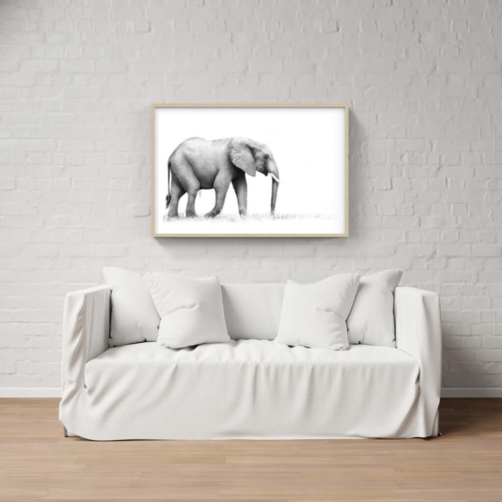 Framed Elephant Print 1 - Paramount Mirrors and PrintsFramed Print