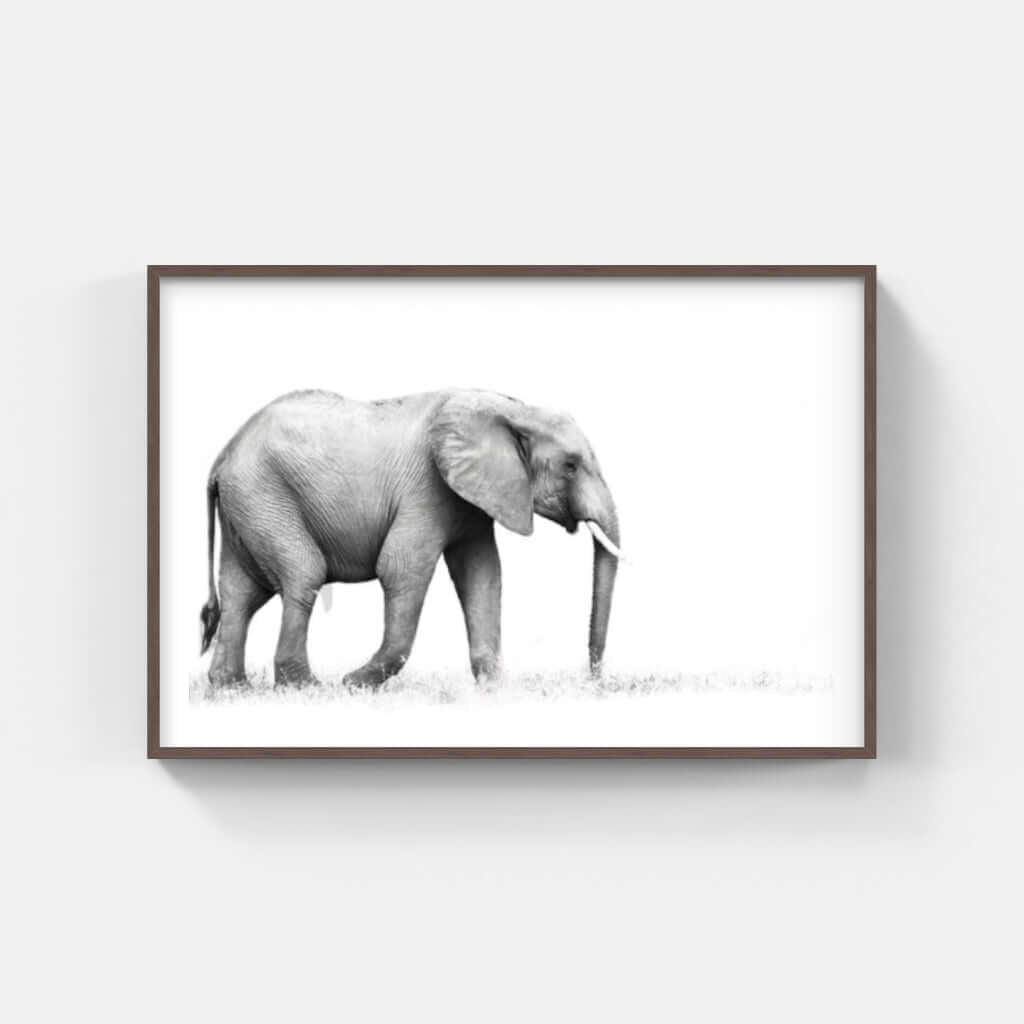 Framed Elephant Print 1 - Paramount Mirrors and PrintsFramed Print