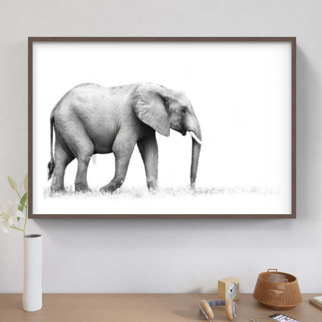 Framed Elephant Print 1 - Paramount Mirrors and PrintsFramed Print