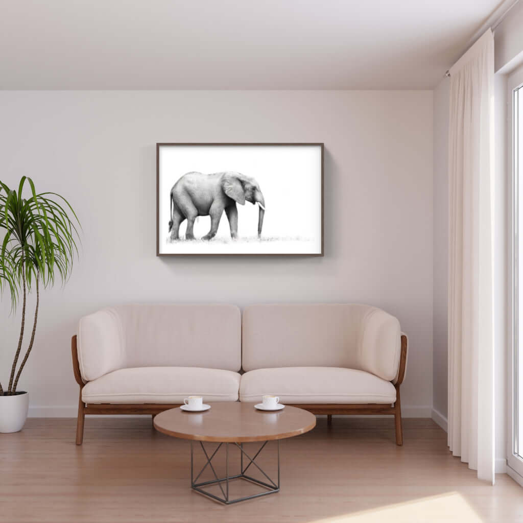 Framed Elephant Print 1 - Paramount Mirrors and PrintsFramed Print