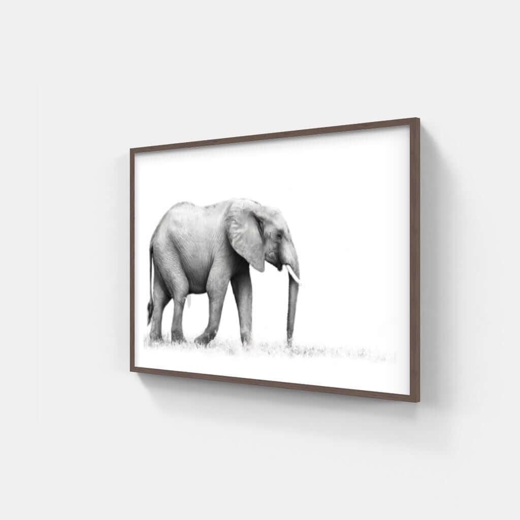 Framed Elephant Print 1 - Paramount Mirrors and PrintsFramed Print