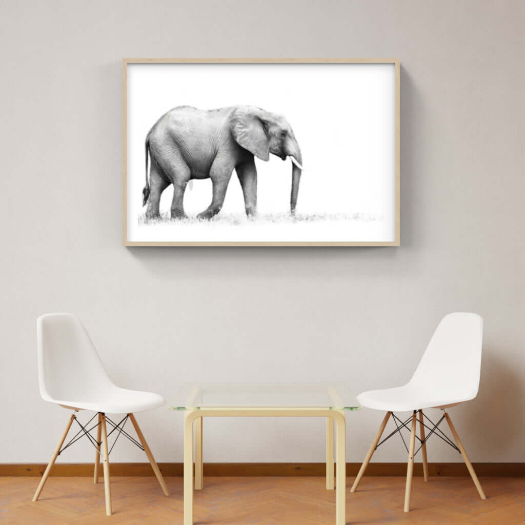 Framed Elephant Print 1 - Paramount Mirrors and PrintsFramed Print