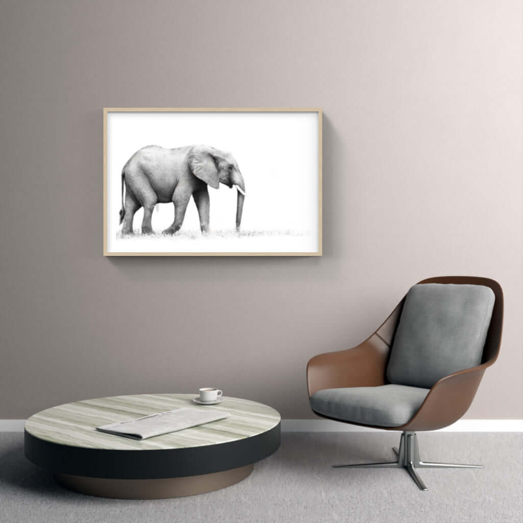 Framed Elephant Print 1 - Paramount Mirrors and PrintsFramed Print
