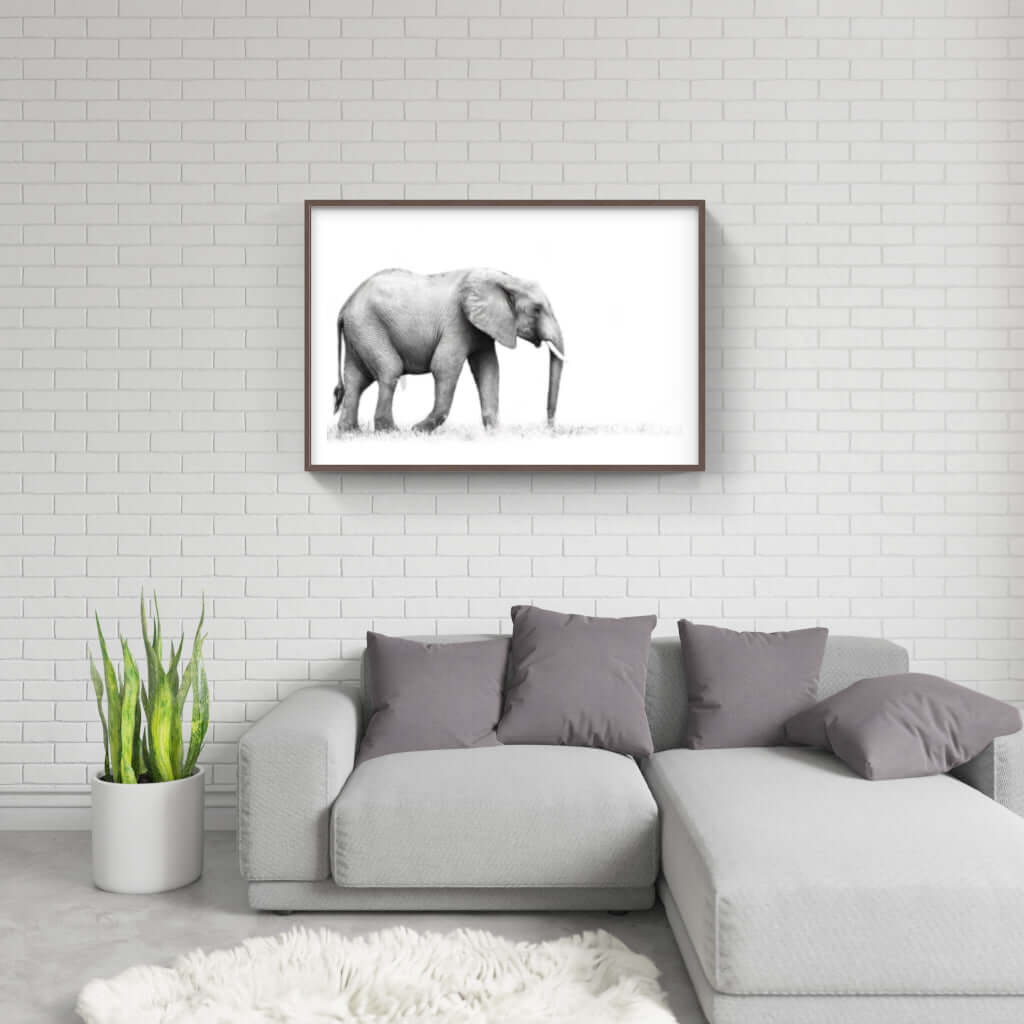 Framed Elephant Print 1 - Paramount Mirrors and PrintsFramed Print