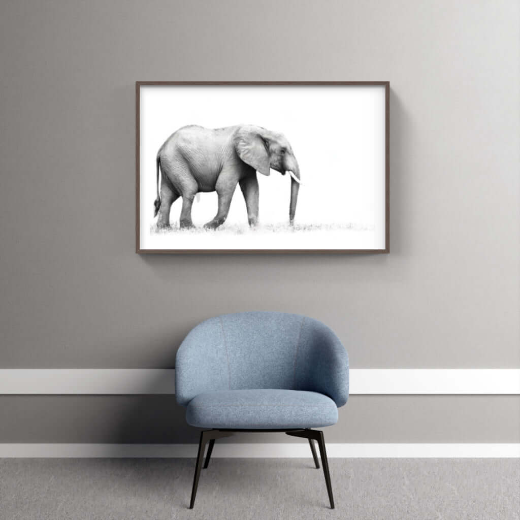 Framed Elephant Print 1 - Paramount Mirrors and PrintsFramed Print